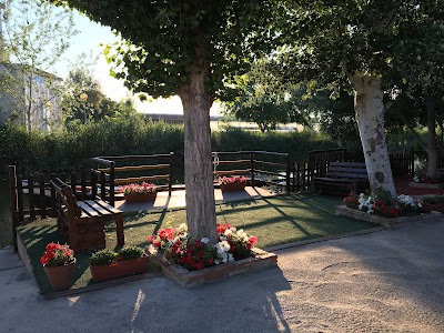 Sunset Boat Ride in Albufera